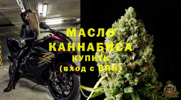 молекула духа Краснослободск