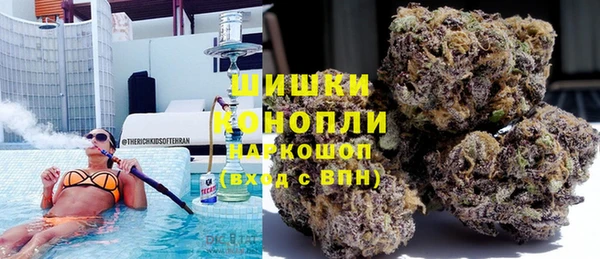 молекула духа Краснослободск