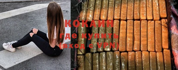 молекула духа Краснослободск
