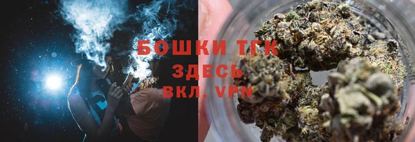 молекула духа Краснослободск